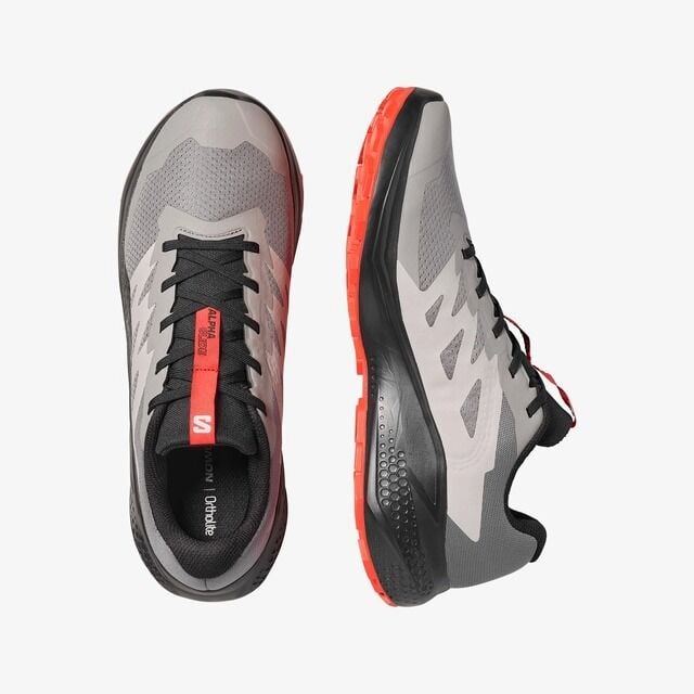 Salomon ALPHAGLIDE